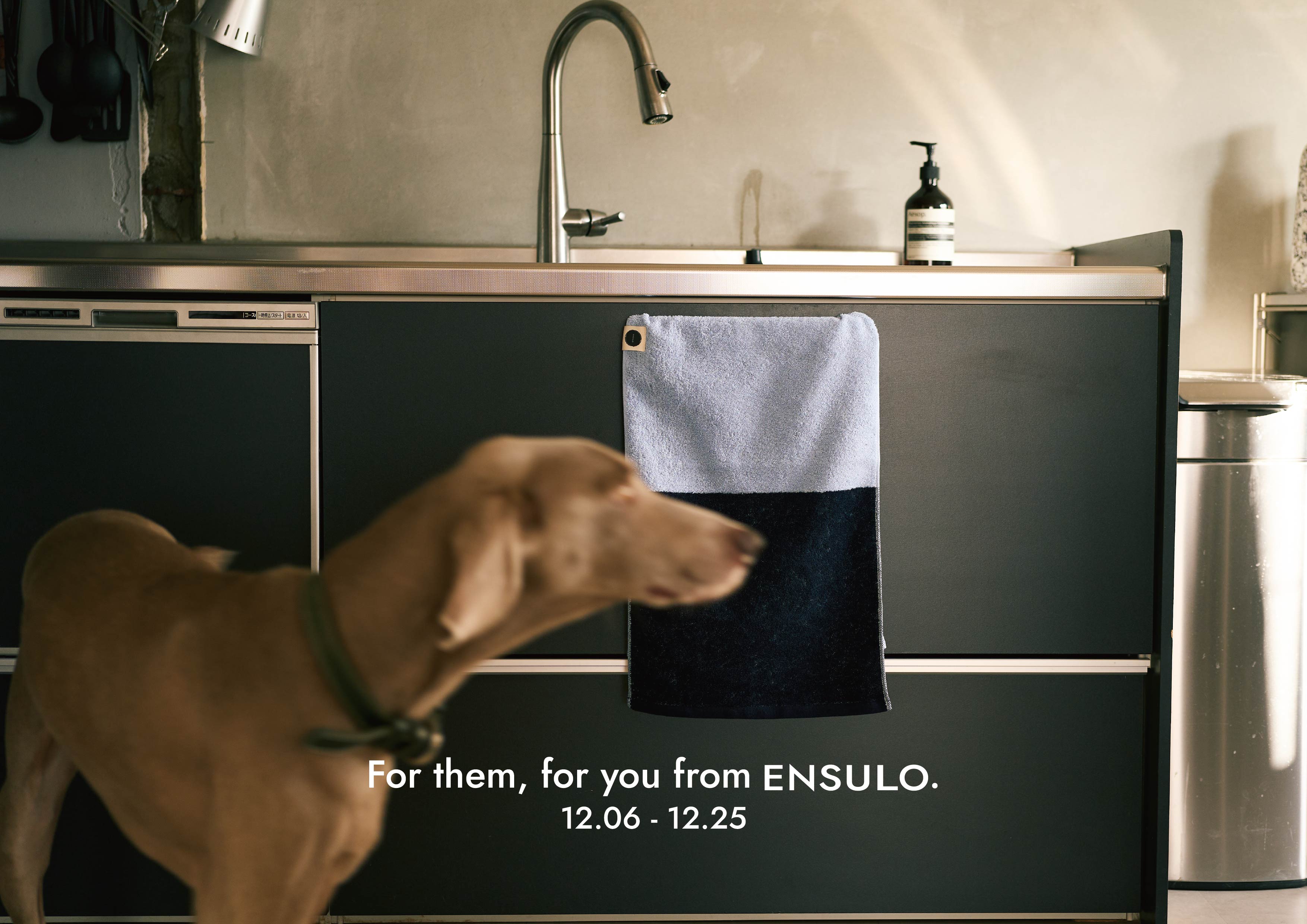 ENSULO HOLIDAY(12/6-12/25)|大切な人へ、自分へ。冬の贈りもの