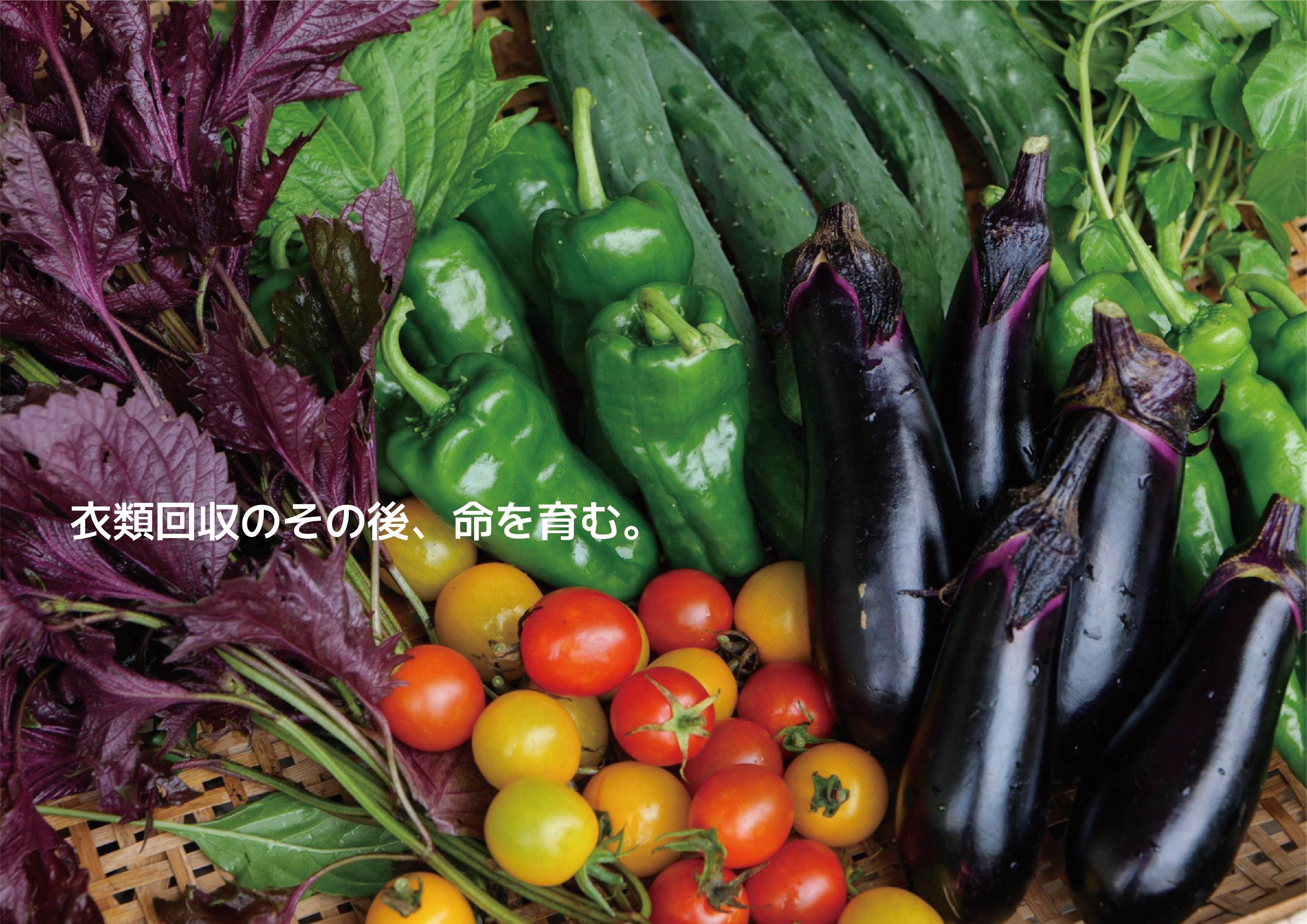 Vol.4 -Ep.2 | 命をつなぐ土をつくる